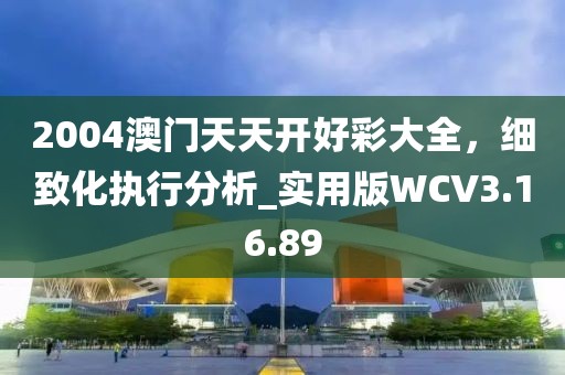 2004澳門天天開好彩大全，細致化執行分析_實用版WCV3.16.89