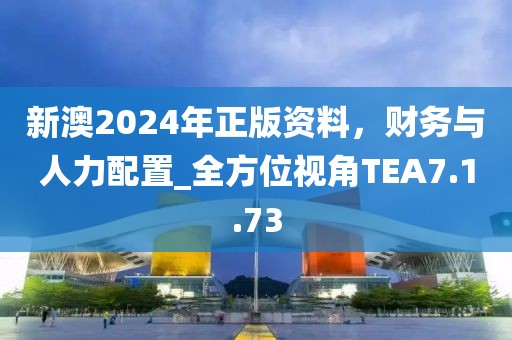 新澳2024年正版資料，財務與人力配置_全方位視角TEA7.1.73