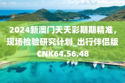 2024新澳門天天彩期期精準，現場檢驗研究計劃_出行伴侶版CNK64.56.48