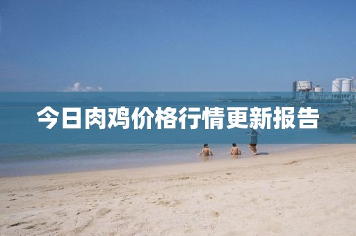 今日肉雞價格行情更新報告
