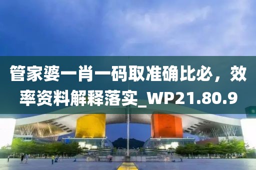 管家婆一肖一碼取準確比必，效率資料解釋落實_WP21.80.90