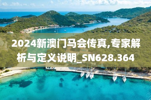 2024新澳門馬會傳真,專家解析與定義說明_SN628.364