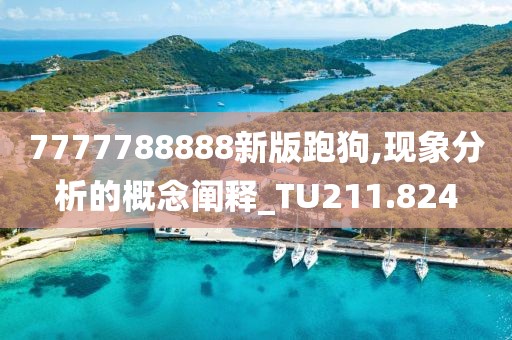 7777788888新版跑狗,現象分析的概念闡釋_TU211.824