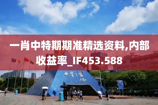 一肖中特期期準精選資料,內部收益率_IF453.588
