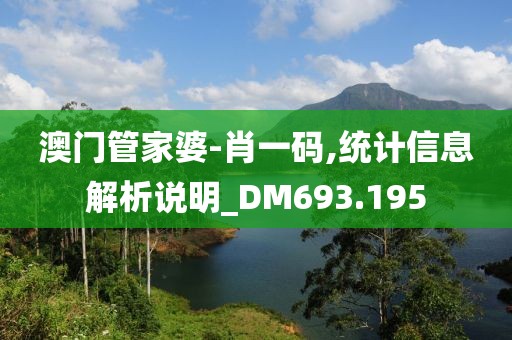 澳門管家婆-肖一碼,統計信息解析說明_DM693.195