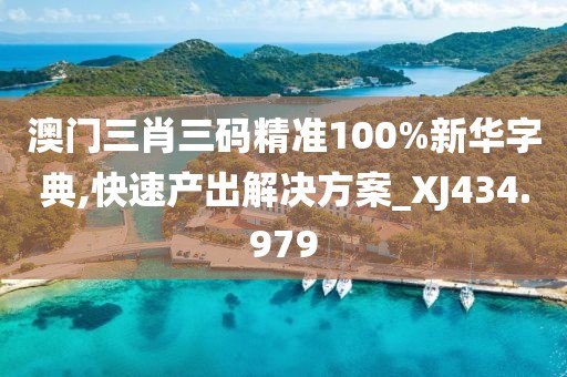 澳門三肖三碼精準100%新華字典,快速產出解決方案_XJ434.979