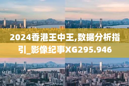 2024香港王中王,數據分析指引_影像紀事XG295.946