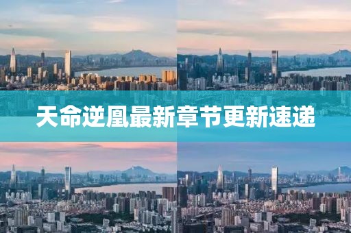 天命逆凰最新章節更新速遞