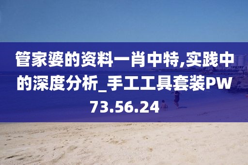 管家婆的資料一肖中特,實踐中的深度分析_手工工具套裝PW73.56.24