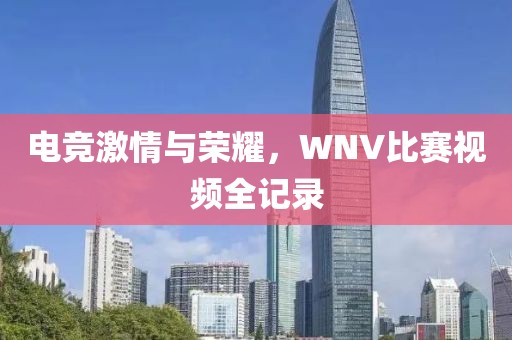 電競激情與榮耀，WNV比賽視頻全記錄
