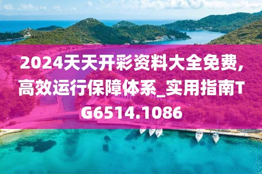 2024天天開彩資料大全免費,高效運行保障體系_實用指南TG6514.1086
