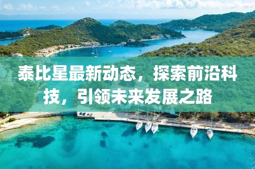 泰比星最新動態，探索前沿科技，引領未來發展之路