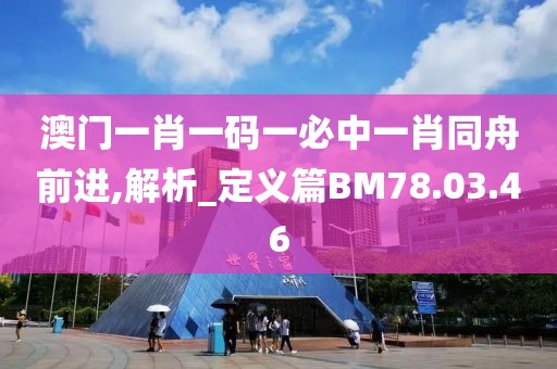 澳門一肖一碼一必中一肖同舟前進,解析_定義篇BM78.03.46