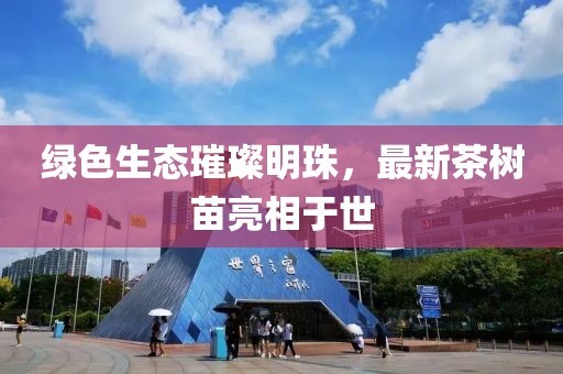 綠色生態璀璨明珠，最新茶樹苗亮相于世