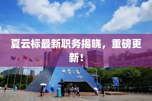夏云標最新職務揭曉，重磅更新！