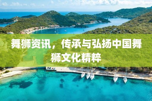舞獅資訊，傳承與弘揚中國舞獅文化精粹