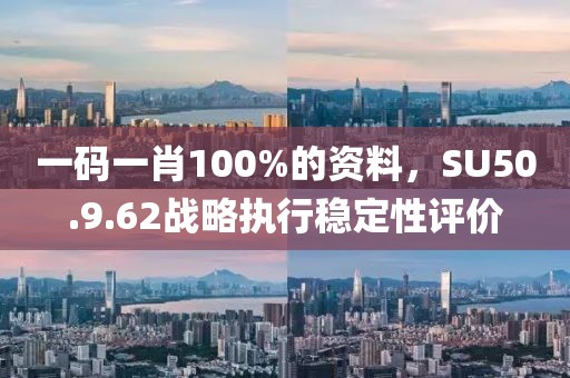 一碼一肖100%的資料，SU50.9.62戰略執行穩定性評價