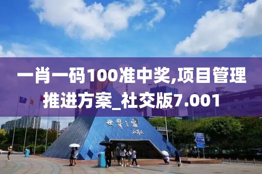 一肖一碼100準中獎,項目管理推進方案_社交版7.001