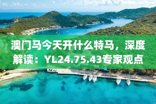 澳門馬今天開什么特馬，深度解讀：YL24.75.43專家觀點