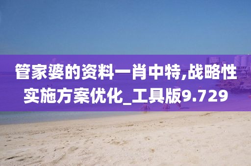 管家婆的資料一肖中特,戰略性實施方案優化_工具版9.729