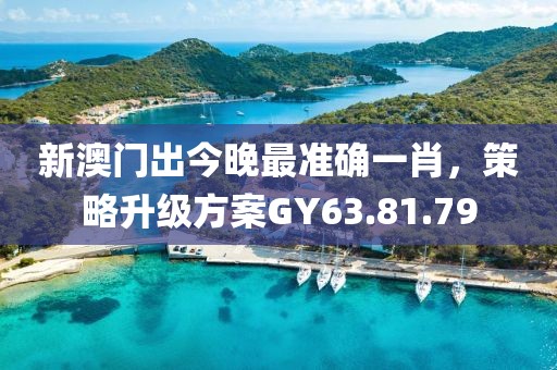 新澳門出今晚最準確一肖，策略升級方案GY63.81.79