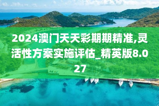 2024澳門天天彩期期精準,靈活性方案實施評估_精英版8.027