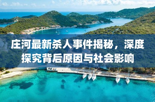 莊河最新殺人事件揭秘，深度探究背后原因與社會影響