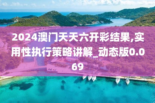 2024澳門天天六開彩結果,實用性執行策略講解_動態版0.069