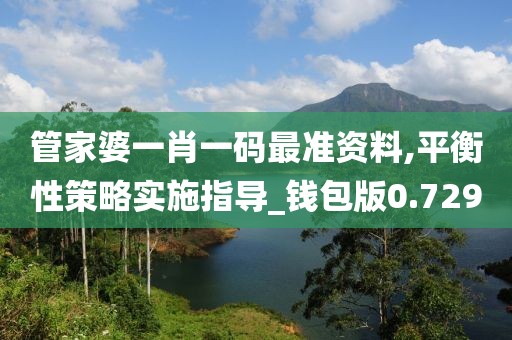 管家婆一肖一碼最準資料,平衡性策略實施指導_錢包版0.729