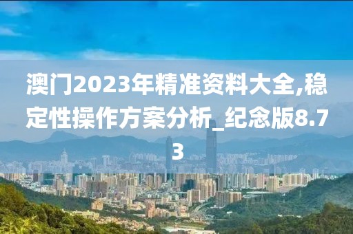 澳門2023年精準資料大全,穩定性操作方案分析_紀念版8.73