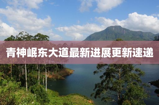 青神岷東大道最新進展更新速遞