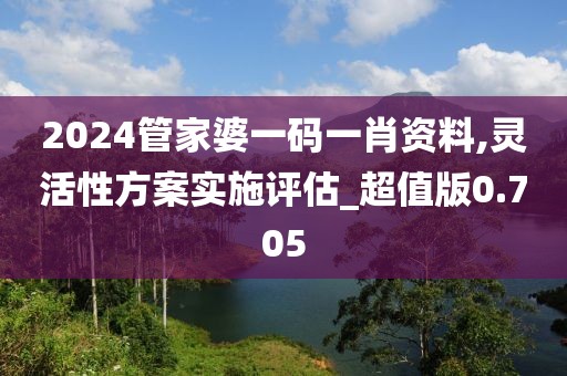 2024管家婆一碼一肖資料,靈活性方案實施評估_超值版0.705