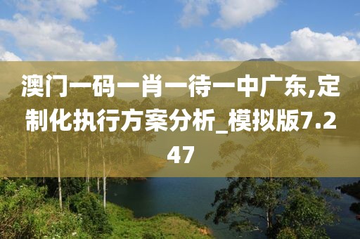 澳門一碼一肖一待一中廣東,定制化執行方案分析_模擬版7.247