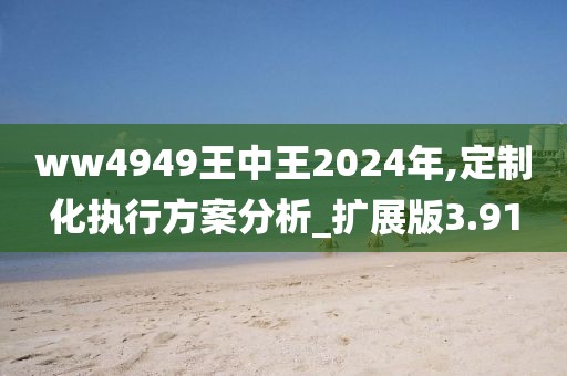 ww4949王中王2024年,定制化執行方案分析_擴展版3.91