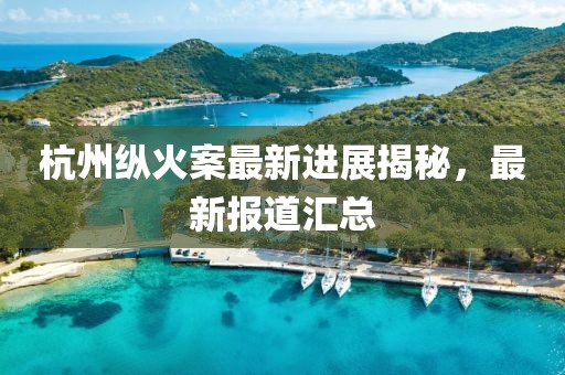 杭州縱火案最新進展揭秘，最新報道匯總