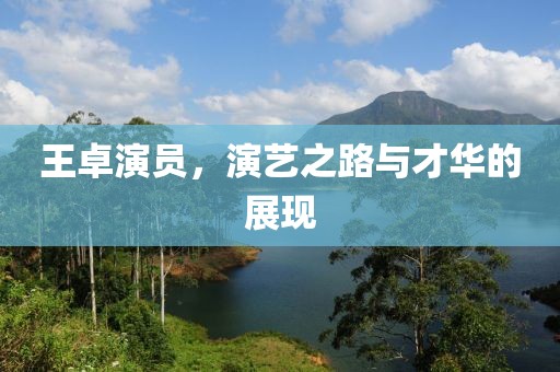 王卓演員，演藝之路與才華的展現