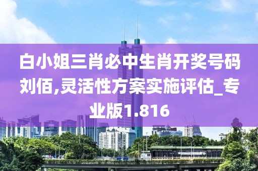 白小姐三肖必中生肖開獎號碼劉佰,靈活性方案實施評估_專業版1.816