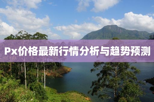 Px價格最新行情分析與趨勢預測