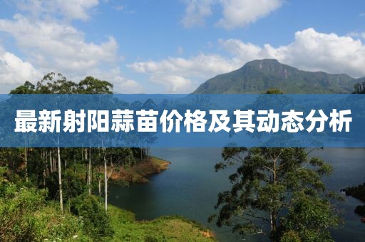 最新射陽蒜苗價格及其動態分析