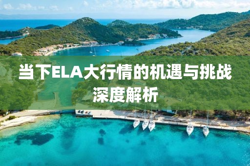 當下ELA大行情的機遇與挑戰深度解析