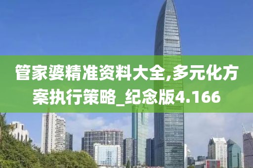 管家婆精準資料大全,多元化方案執行策略_紀念版4.166