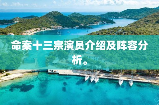 命案十三宗演員介紹及陣容分析。
