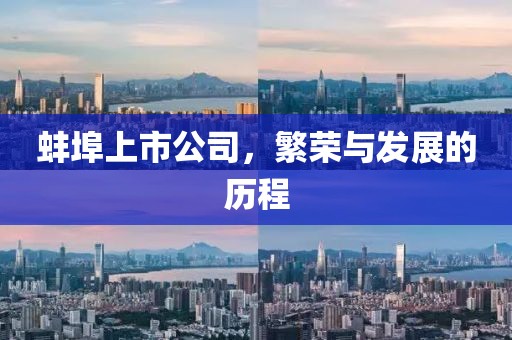 蚌埠上市公司，繁榮與發展的歷程