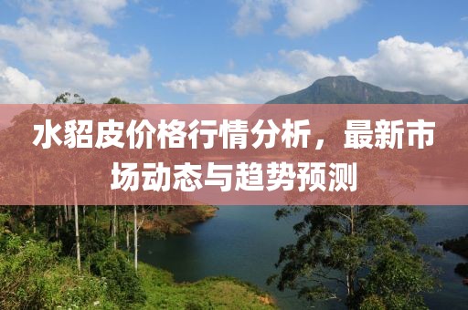 水貂皮價格行情分析，最新市場動態與趨勢預測