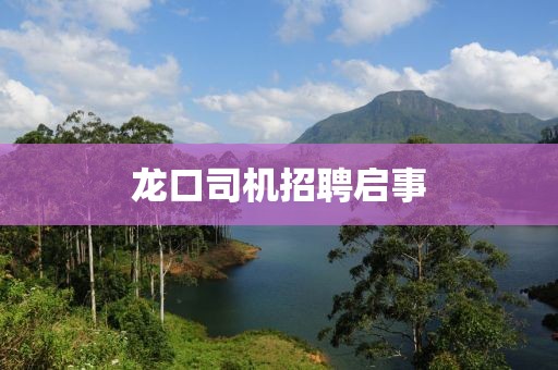 龍口司機招聘啟事
