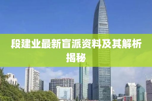 段建業最新盲派資料及其解析揭秘