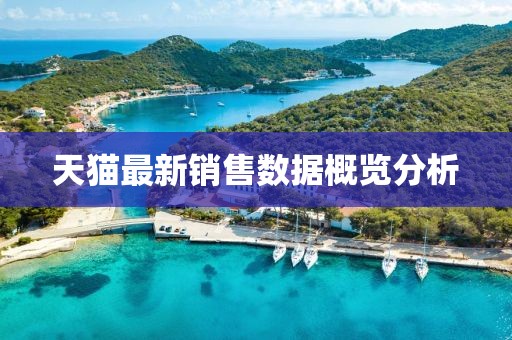 天貓最新銷售數據概覽分析
