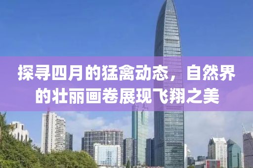 探尋四月的猛禽動態，自然界的壯麗畫卷展現飛翔之美