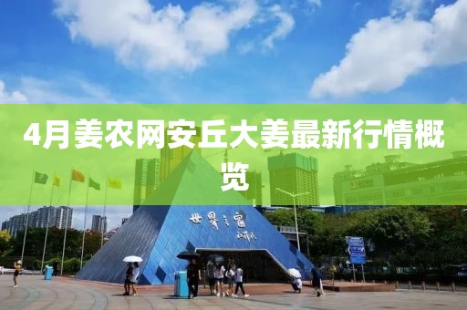 4月姜農網安丘大姜最新行情概覽