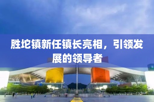 勝坨鎮新任鎮長亮相，引領發展的領導者